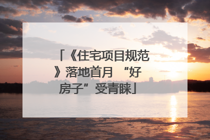 《住宅项目规范》落地首月 “好房子”受青睐
