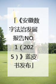 《安徽数字法治发展报告NO.1（2025）》蓝皮书发布