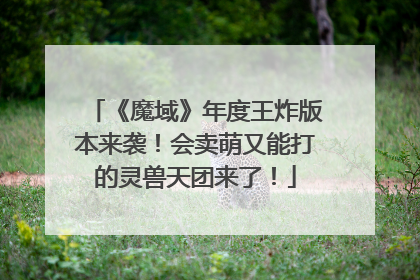 《魔域》年度王炸版本来袭！会卖萌又能打的灵兽天团来了！