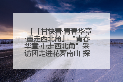 「甘快看·青春华章·重走西北角」“青春华章·重走西北角”采访团走进花舞南山 探寻天水乡村振兴之路