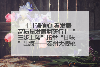「强信心 看发展·高质量发展调研行」“三步上篮”托举“甘味”出海——秦州大樱桃高质量发展动作分解