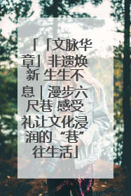 「文脉华章」非遗焕新 生生不息｜漫步六尺巷 感受礼让文化浸润的“巷”往生活