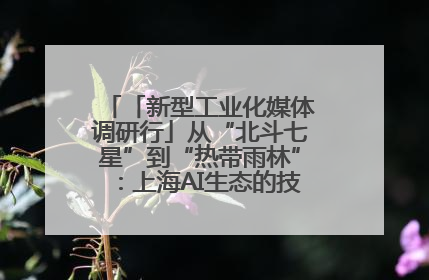 「新型工业化媒体调研行」从“北斗七星”到“热带雨林”：上海AI生态的技术商业共生密码