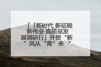 「新时代 新征程 新伟业·高质量发展调研行」外贸“新”风从“青”来 “双向奔赴”启新程