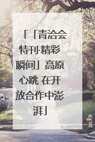 「青洽会特刊·精彩瞬间」高原心跳 在开放合作中澎湃