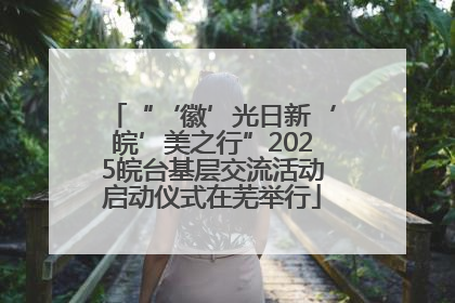 “‘徽’光日新‘皖’美之行”2025皖台基层交流活动启动仪式在芜举行