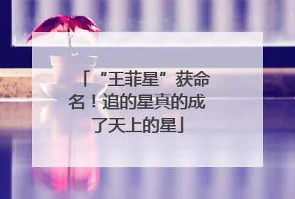 “王菲星”获命名！追的星真的成了天上的星