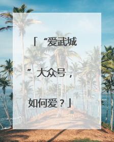 “爱武城”大众号，如何爱？