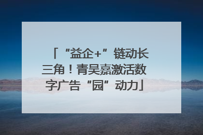 “益企+”链动长三角！青吴嘉激活数字广告“园”动力