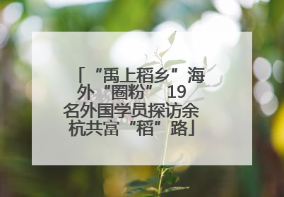 “禹上稻乡”海外“圈粉” 19名外国学员探访余杭共富“稻”路