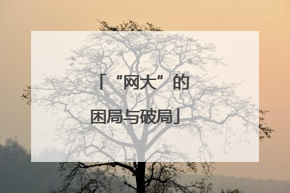 “网大”的困局与破局