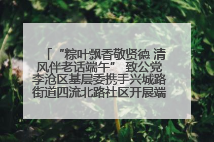 “粽叶飘香敬贤德 清风伴老话端午” 致公党李沧区基层委携手兴城路街道四流北路社区开展端午节主题活动