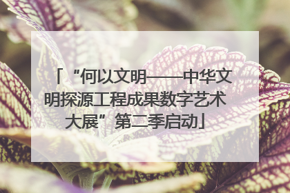 “何以文明——中华文明探源工程成果数字艺术大展”第二季启动