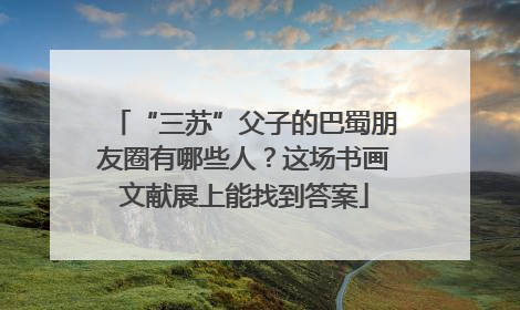 “三苏”父子的巴蜀朋友圈有哪些人？这场书画文献展上能找到答案