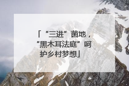 “三进”菌地，“黑木耳法庭”呵护乡村梦想