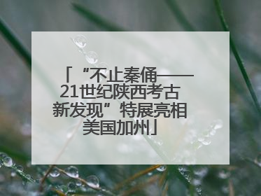 “不止秦俑——21世纪陕西考古新发现”特展亮相美国加州