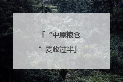 “中原粮仓”麦收过半