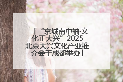 “京城南中轴·文化正大兴”2025北京大兴文化产业推介会于成都举办