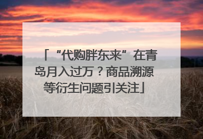 “代购胖东来”在青岛月入过万？商品溯源等衍生问题引关注