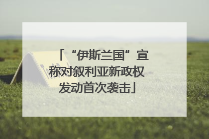 “伊斯兰国”宣称对叙利亚新政权发动首次袭击