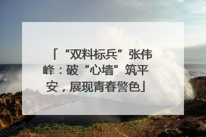 “双料标兵”张伟峰：破“心墙”筑平安，展现青春警色