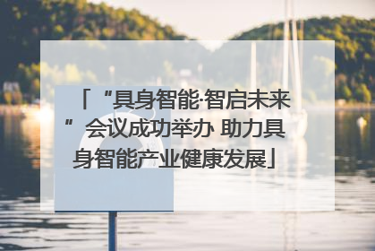 “具身智能·智启未来”会议成功举办 助力具身智能产业健康发展