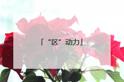 “区”动力