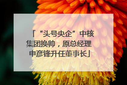 “头号央企”中核集团换帅，原总经理申彦锋升任董事长