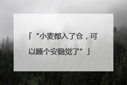 “小麦都入了仓，可以睡个安稳觉了”
