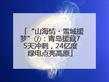 “山海情・雪域援梦”⑦：青岛援藏75天冲刺，24亿度绿电点亮高原