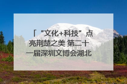 “文化+科技”点亮荆楚之美 第二十一届深圳文博会湖北馆抢“鲜”看
