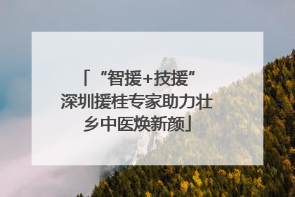 “智援+技援” 深圳援桂专家助力壮乡中医焕新颜