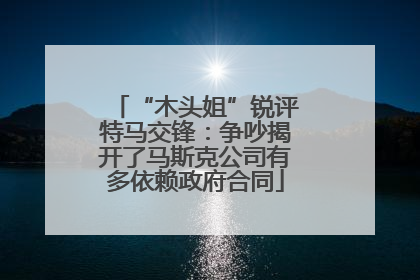 “木头姐”锐评特马交锋：争吵揭开了马斯克公司有多依赖政府合同
