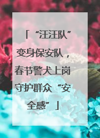 “汪汪队”变身保安队，春节警犬上岗守护群众“安全感”