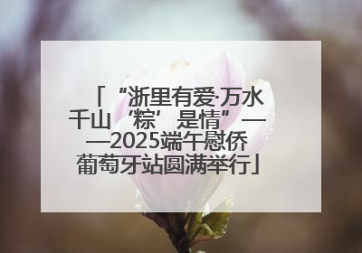 “浙里有爱·万水千山‘粽’是情”——2025端午慰侨葡萄牙站圆满举行
