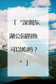 “深圳东湖公园的鱼可以吃吗？”