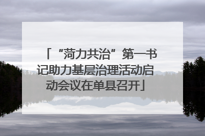 “菏力共治”第一书记助力基层治理活动启动会议在单县召开