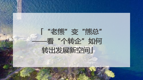 “老熊”变“熊总”——看“个转企”如何转出发展新空间