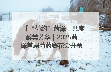 “芍约”菏泽，共度醉美芳华｜2025菏泽首届芍药赛花会开幕，103家企业参赛