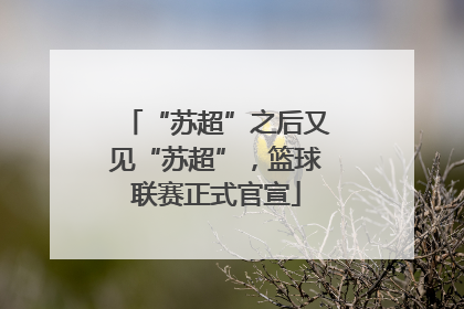 “苏超”之后又见“苏超”，篮球联赛正式官宣