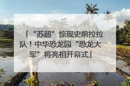 “苏超”惊现史前拉拉队！中华恐龙园“恐龙大军”将亮相开幕式