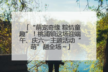 “萌宠奇缘 粽情童趣”！桃浦镇这场迎端午、庆六一主题活动“萌”翻全场～