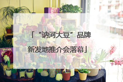 “讷河大豆”品牌新发地推介会落幕