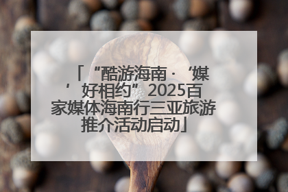 “酷游海南 ·‘媒’好相约”2025百家媒体海南行三亚旅游推介活动启动