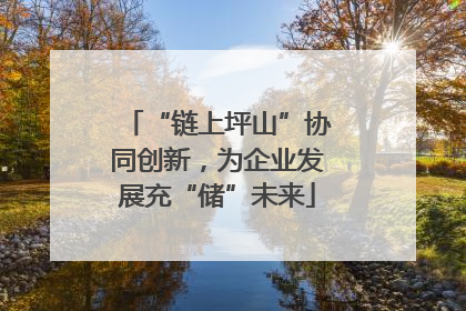 “链上坪山”协同创新，为企业发展充“储”未来