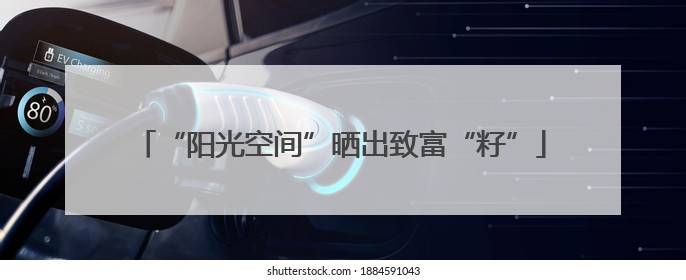 “阳光空间”晒出致富“籽”