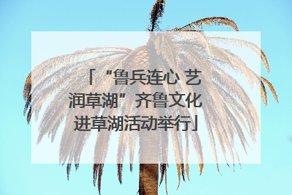 “鲁兵连心 艺润草湖”齐鲁文化进草湖活动举行