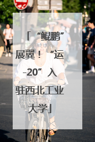 “鲲鹏”展翼！“运-20”入驻西北工业大学