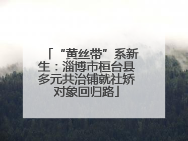 “黄丝带”系新生：淄博市桓台县多元共治铺就社矫对象回归路