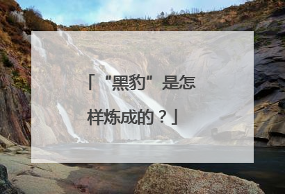 “黑豹”是怎样炼成的？